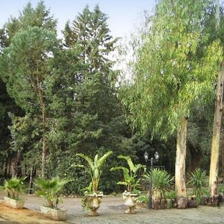 Villa Mado Ceglie Messapica Ngoại thất bức ảnh