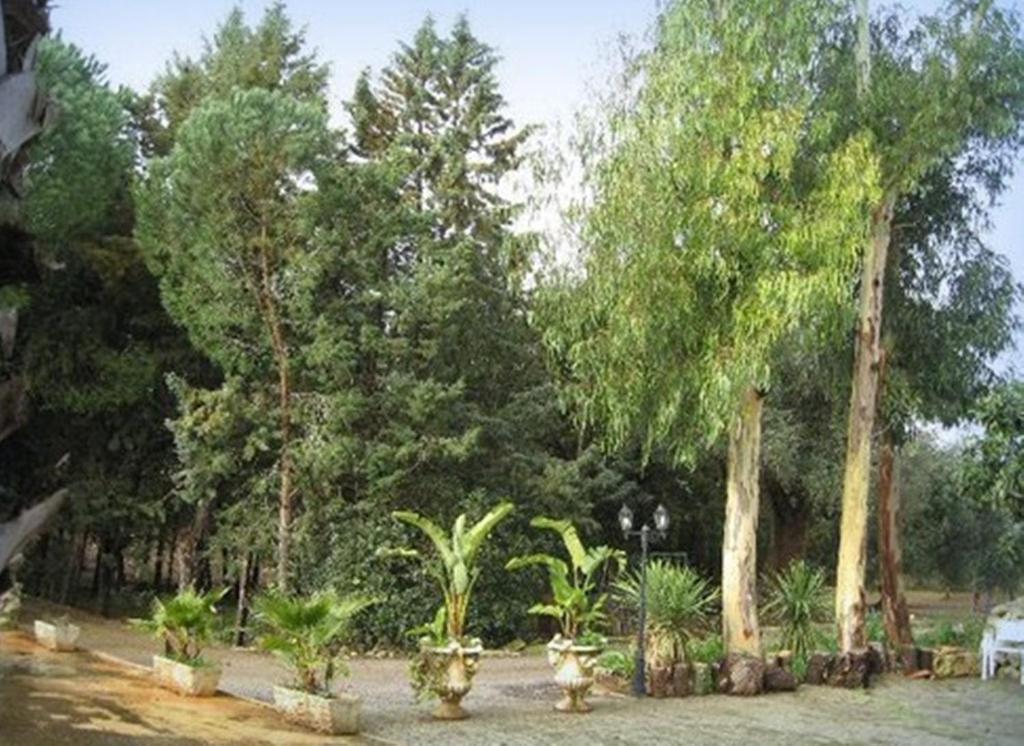 Villa Mado Ceglie Messapica Ngoại thất bức ảnh