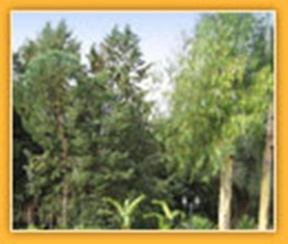 Villa Mado Ceglie Messapica Ngoại thất bức ảnh